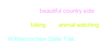 With lots of water (salty or not), shores, beaches and a beautiful country side, many other activities can be undertaken  as well, like biking and animal watching. But for that, best stay nearby the       Withlacoochee State Trail.